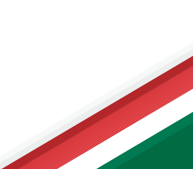 bandera